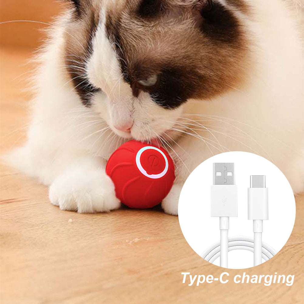 Automatic Bouncing Electric Ball for Cats