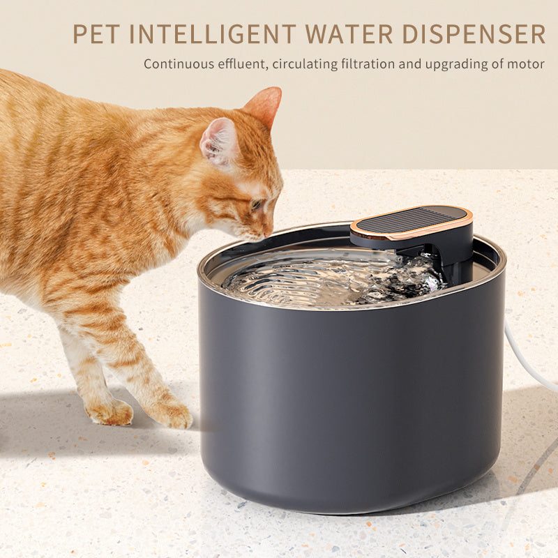 Automatic Pet Water Dispenser with Filter