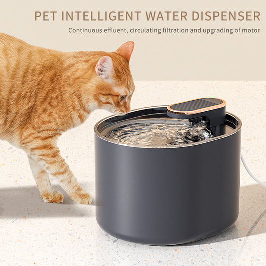 Automatic Pet Water Dispenser with Filter